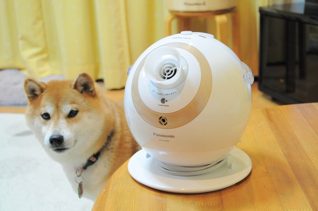 見つけたよ_a0126590_21431192.jpg
