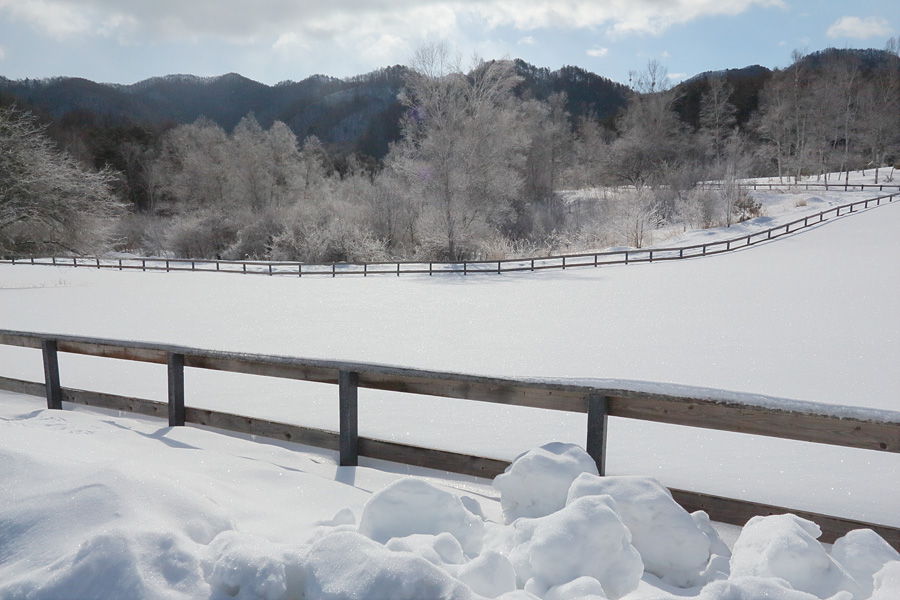 13.02.10：noddyさんと行く、久しぶりの開田高原で雪景三昧３_c0007190_19533767.jpg