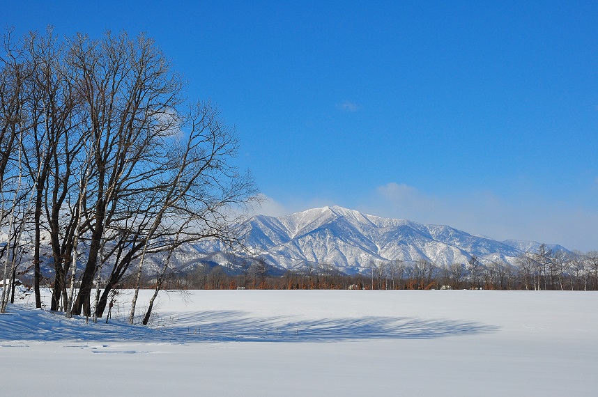 十勝ポロシリ岳と雪原_f0232191_1853531.jpg