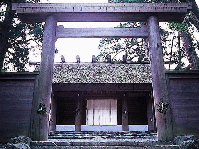 14年ぶり?の、懐かしい、お客さんが~!忘れず来てくれて、ありがと~。_d0060693_7224519.jpg
