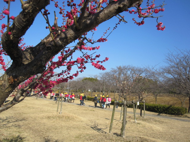 梅の花と子供達_a0145798_19482380.jpg