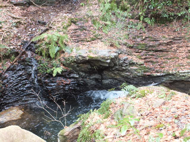 a0271502_1244161.jpg