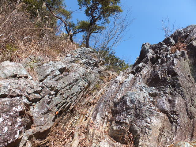 a0271502_1395844.jpg