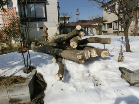 a0203003_9554243.jpg