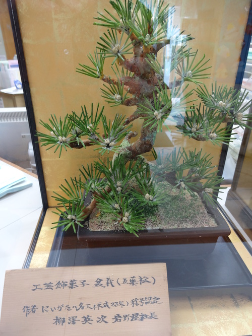 五葉松の盆栽に見えるが実はお菓子 日常の出来事
