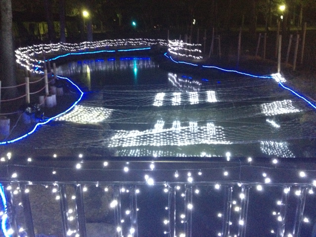 c0208011_14272430.jpg