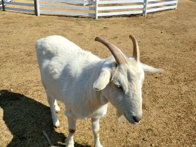 f0071412_1031272.jpg