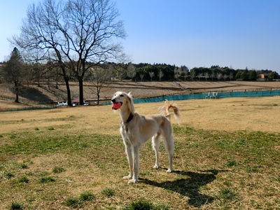 f0071412_1185126.jpg