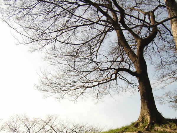 c0141013_8165860.jpg