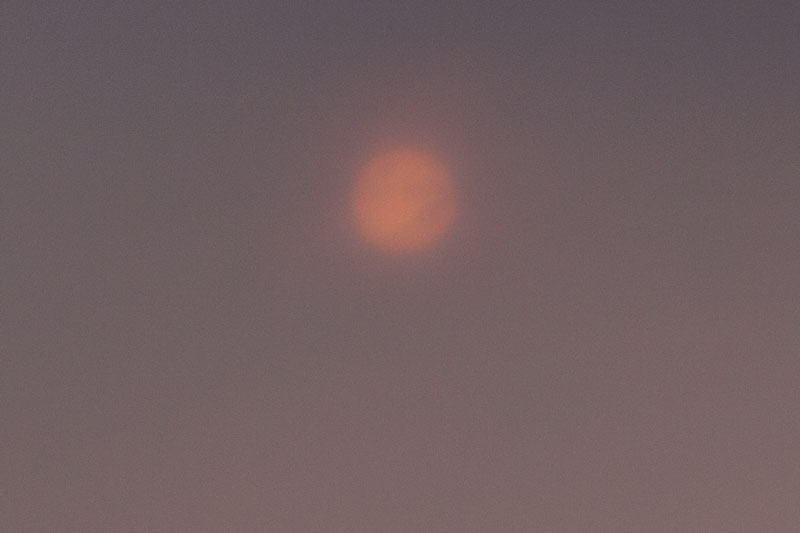 a0278914_1834289.jpg