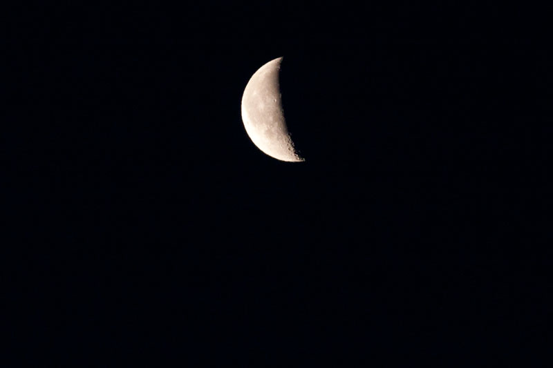 a0278914_18421028.jpg