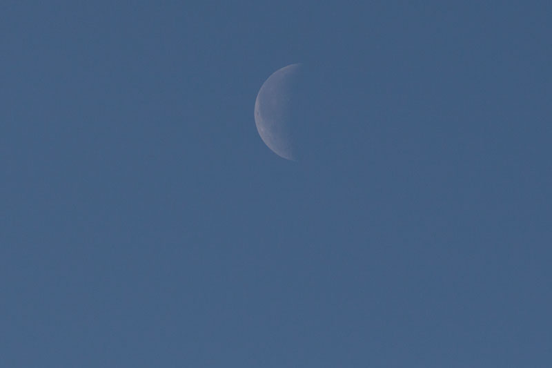 a0278914_18443765.jpg