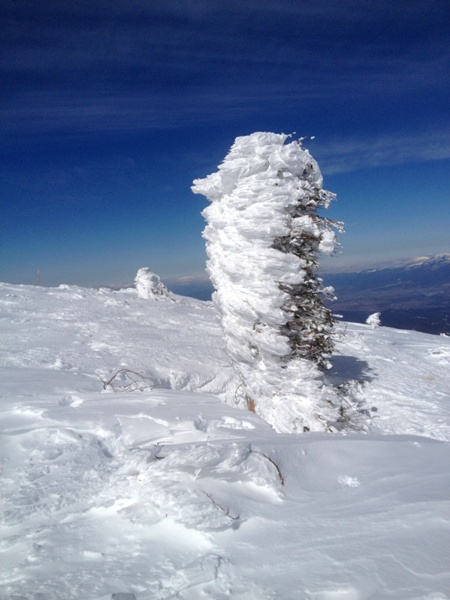 蓼科山の山頂から_c0177814_21374359.jpg