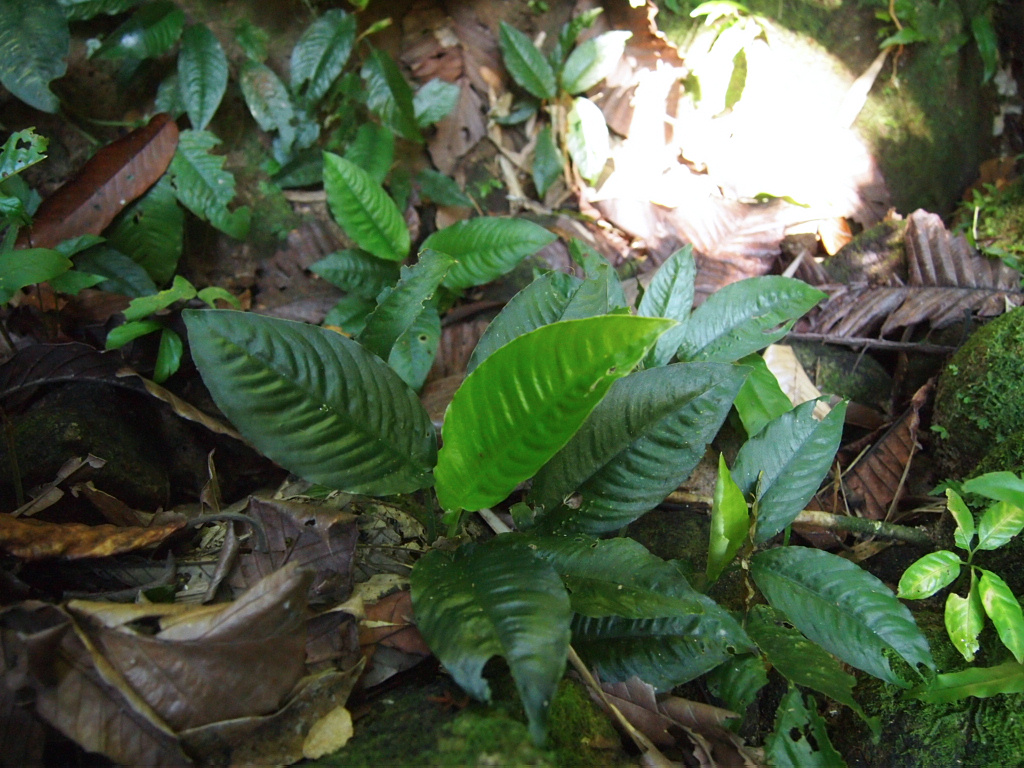 d0150727_18103189.jpg