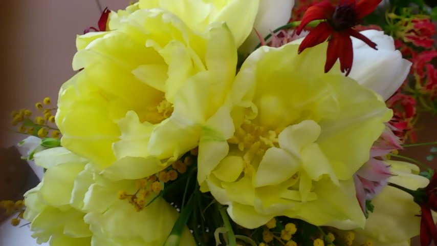 d0252434_101737100.jpg
