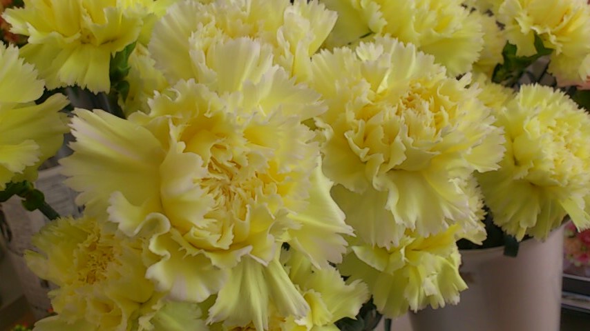 d0252434_1017495.jpg
