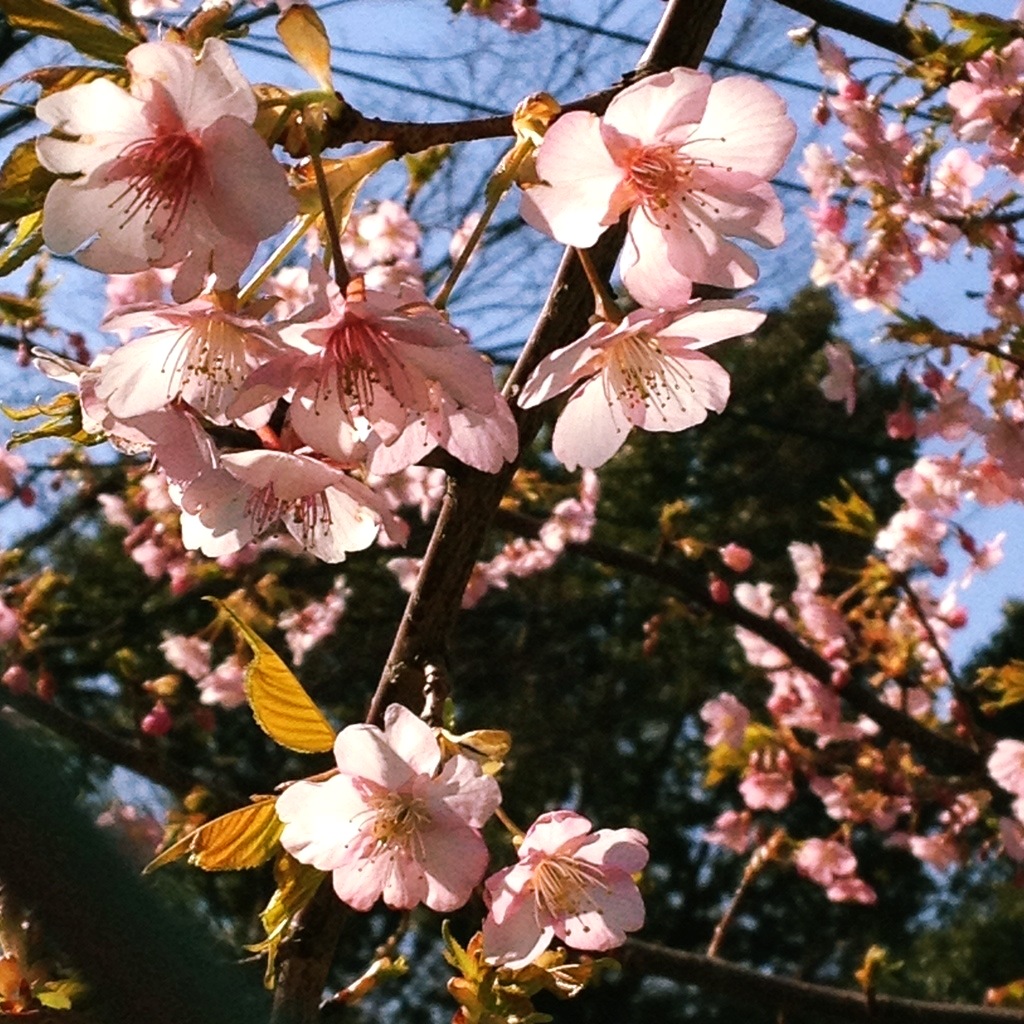 a0117440_23173275.jpg
