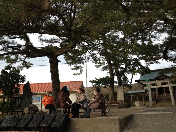 出羽島の【緋寒桜(ヒカンザクラ)】咲きましたよ～(●^^●)ノ_a0280142_19115719.jpg