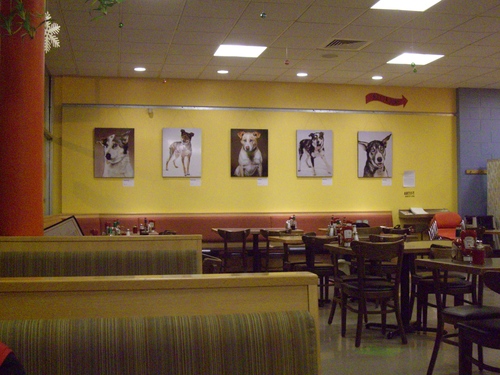 SNOW CITY CAFE_b0135948_3304964.jpg