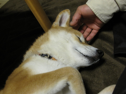 f0245650_814365.jpg