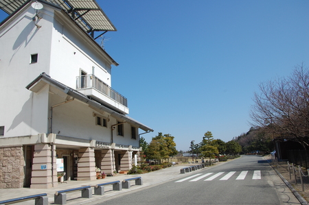 花壇管理ボランティア交流会　in　せんなん里海公園_c0108460_22491218.jpg