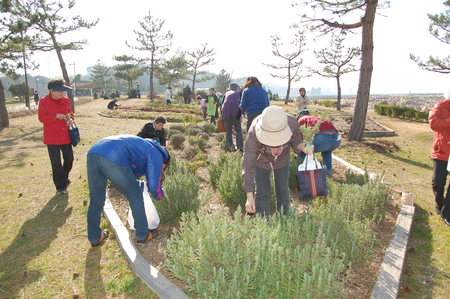 花壇管理ボランティア交流会　in　せんなん里海公園_c0108460_23183441.jpg