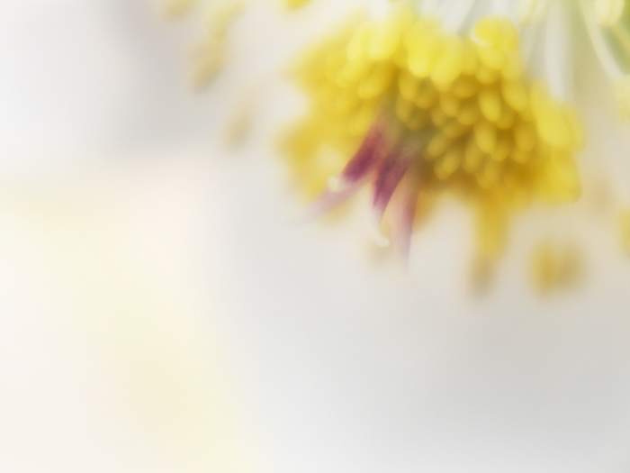 赤塚写真展始まりました。_a0161380_1761695.jpg