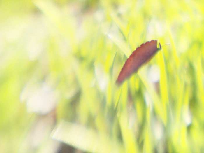赤塚写真展始まりました。_a0161380_1775284.jpg