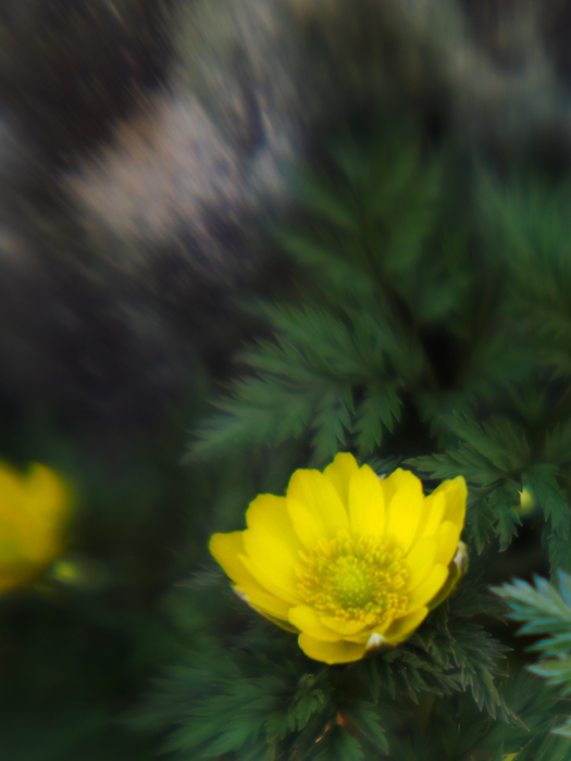 赤塚写真展始まりました。_a0161380_1794026.jpg