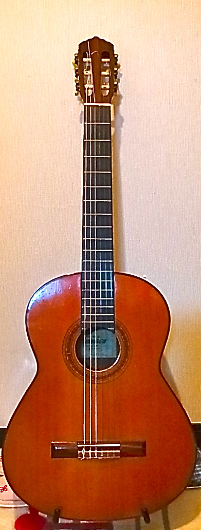 Shinano Guitar Model No.35 : アコースティック、クラシック、エレキ 