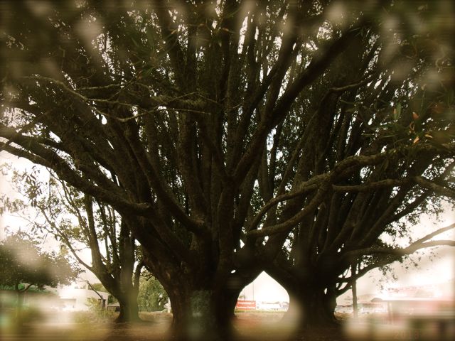 d0114485_18163036.jpg