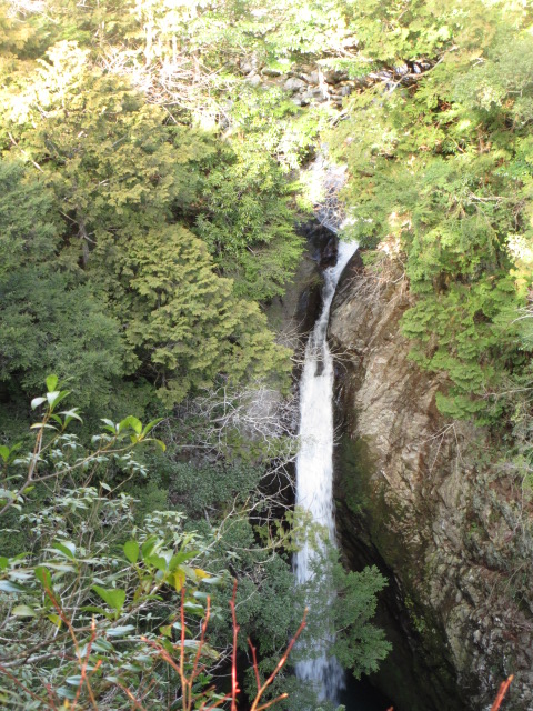 a0193698_2049332.jpg