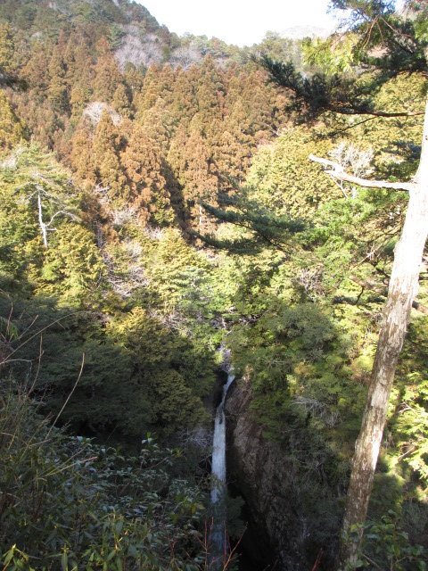 a0193698_2049350.jpg