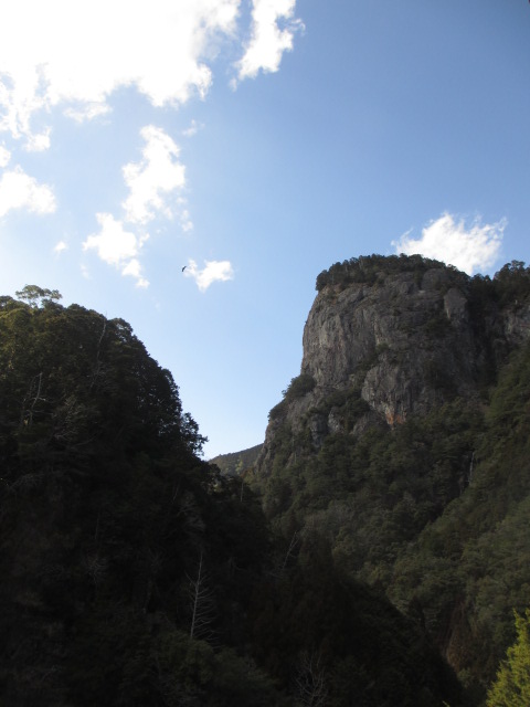 a0193698_2052126.jpg