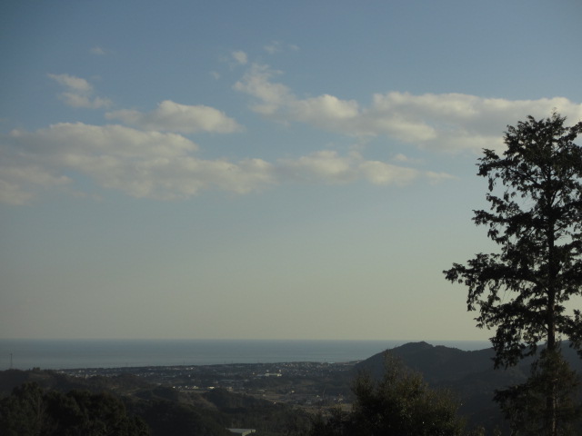 a0193698_20555936.jpg