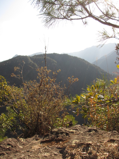 a0193698_2112232.jpg