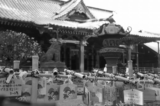 久々に根津神社へ_b0190603_16213566.jpg