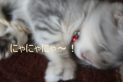 できものが。。_c0178104_10141347.jpg