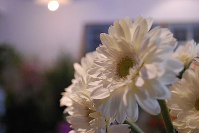 e0128909_8241349.jpg
