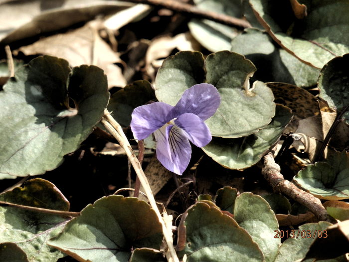 f0219710_712183.jpg