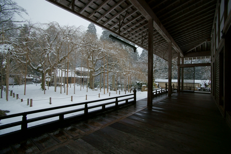 雪の常照皇寺_e0177413_2311845.jpg