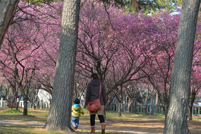 御厨神社・梅の香薫るー其の三_d0247114_164473.jpg