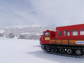 f0022024_2302966.jpg