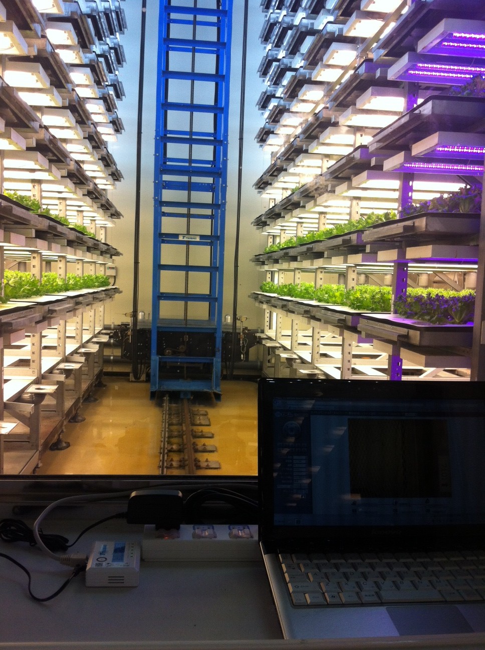 植物工場研究センター_f0259324_11285394.jpg