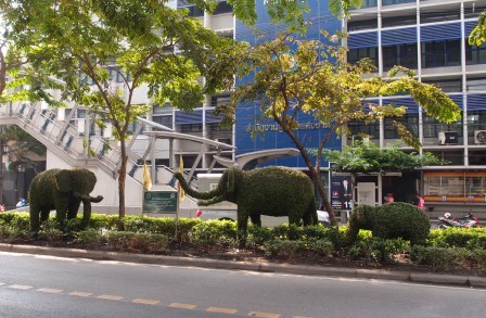 陸のコト・・・・in THAI BKK_d0113636_94014.jpg