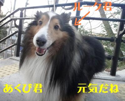 危うくあの世まであくびくんと一緒?!_e0195743_144867.jpg