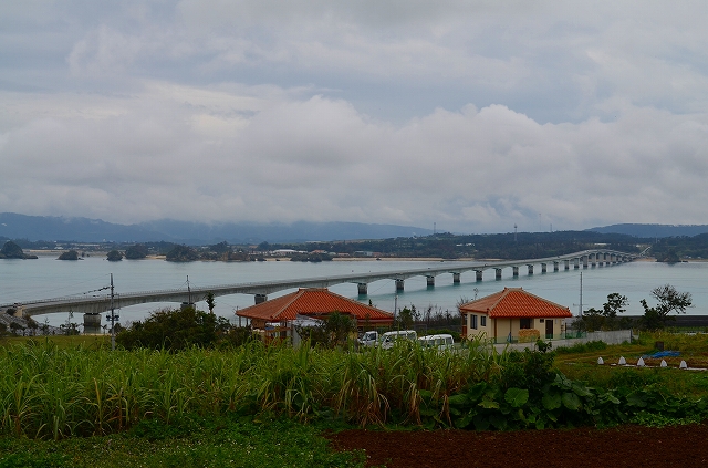 【沖縄】⑨　古宇利大橋_e0237645_1515516.jpg