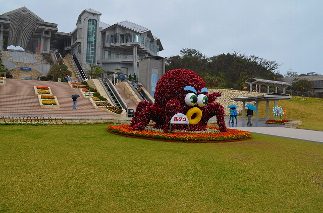 【沖縄】⑦-5　水族館；花木の海の動物_e0237645_1535255.jpg