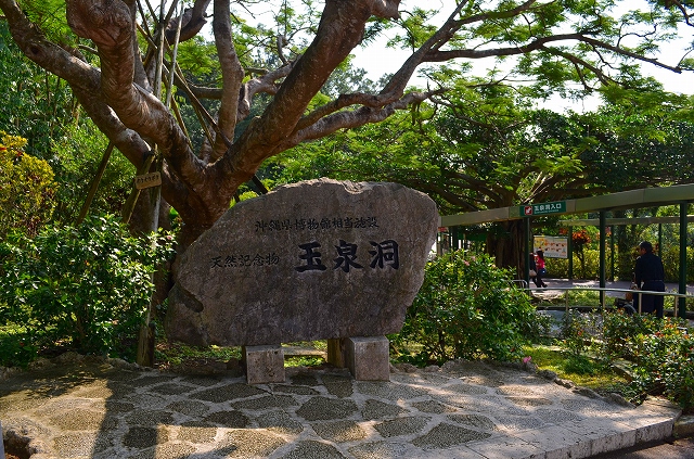 【沖縄】⑬　沖縄が誇る鍾乳洞「玉泉洞」_e0237645_17224043.jpg