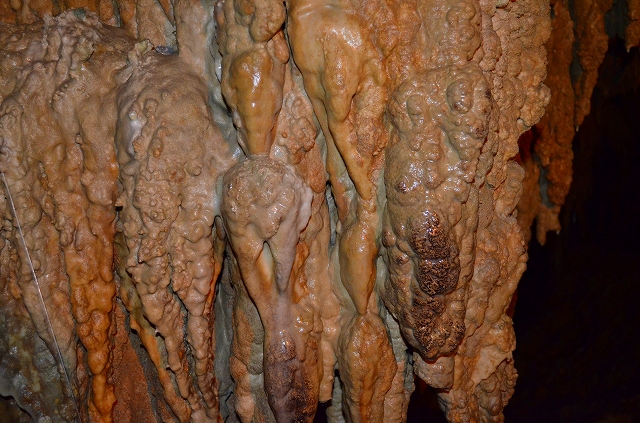 【沖縄】⑬　沖縄が誇る鍾乳洞「玉泉洞」_e0237645_1724193.jpg